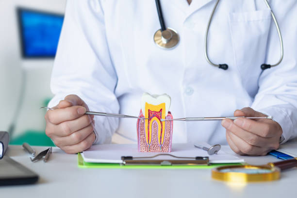 Best Emergency Denture Repair in Rural Hall, NC